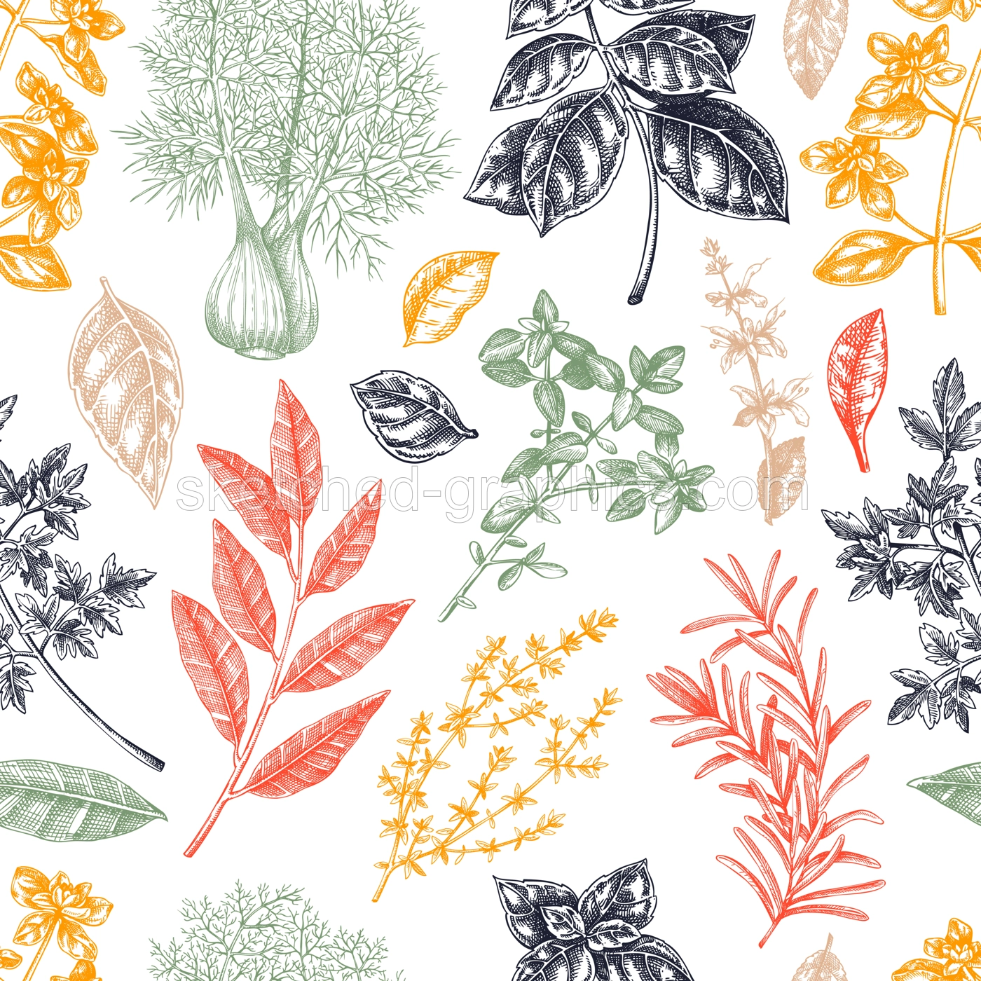 Herbs and spice seamless pattern. Italian cuisine background. Basil, mint, rosemary, parsley, sage, bay leaf, fennel sketches. Kitchen spices hand-drawn vector illustration. NOT AI generated Illustration